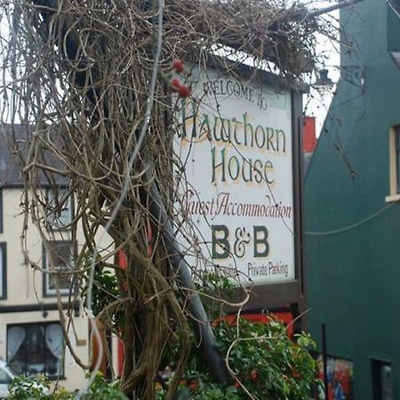 Hawthorn House Guesthouse Kenmare Luaran gambar